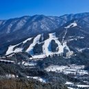 베어스 타운 이미지