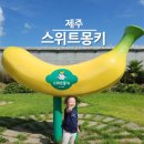 둥이농장 | 제주 스위트몽키 바나나농장체험 실내아이랑가볼만한