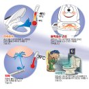 비데 블루밍비데 초특가 판매!!!! 이미지