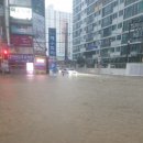 동래세무서 이미지