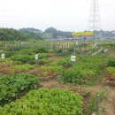 녹색농원 이미지