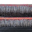 용대리황태촌 이미지