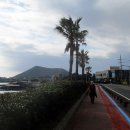 제주하도바당 이미지