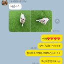다둥반려견호텔유치원