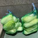 고삼농장 이미지