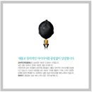 모비딕디자인