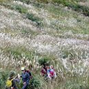 가을걷기코스 이미지