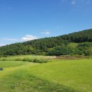 태안골프밸리 이미지