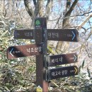 낙조대 티스토리