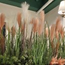 아덴블랑제리 망미점 이미지