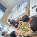 도영 농장 이미지