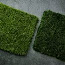 불로초등학교 이미지