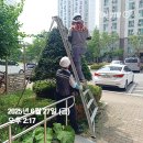 주목 정전 작업 이미지