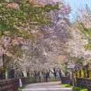 우두동 자전거도로 이미지