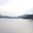 준스마켓