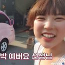 따우따우