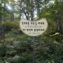 태백고원자연휴양림 이미지