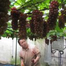 옥토상사 이미지