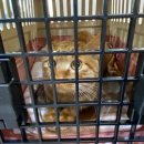 24시 더나은 동물메디컬 센터 이미지