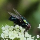 금남 이미지