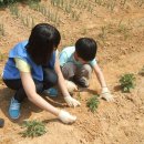 무봉농장 이미지