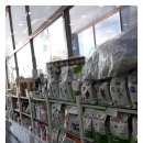 내포동물병원 이미지