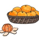 베베펫살롱 이미지