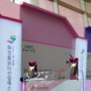 보떼화장품 이미지