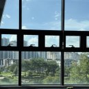 애견천국 이미지