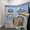 엔젤 소프트 이미지