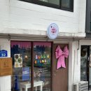 버블크런치