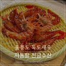 천금식당 | 울릉도 독도새우 맛집 종류 가격 천금수산 꽃새우