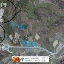 진명당 Daum카페