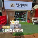 인천 서구 강아지 산책 반려용품 무인펫샵 반려아이 오픈 방문후기
