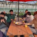 봄내음 가득한 꽃차 이미지