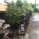 (주)옥수 | 제주 애월카페 조용하고 느좋 음료맛집 골목카페옥수 솔직후기