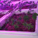 부귀농장 이미지