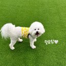 GS25 파주 대방점 | 7월 첫째주 일상(애슐리퀸즈 런치, GS 두바이초콜릿 사전예약 성공, 스타벅스 신메뉴)
