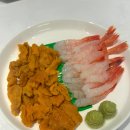 우니보기