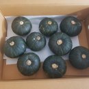 선달농장 | 아침대용, 한끼식사로 만족스러운 땡스제주 미니밤호박죽