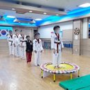 용인대잠원태권도 이미지