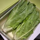 스마트프레쉬 | 락앤락 신선보관용기 스마트킵 프레쉬 솔직후기