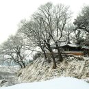 곡성-136 Daum카페
