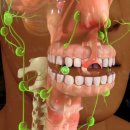 서울하늘플란트치과의원 이미지