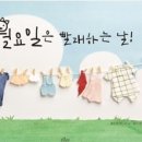 빨래하는날 - 아산시 희망로46번길 19-3 | 빨래하는날