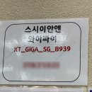 부평마트 | 인천 부평 초밥 맛집 스시이안앤 롯데마트부평점 1990원 가성비 회전초밥 후기
