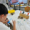 알쏭달쏭 과학교실 이미지