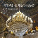 더 시타델 | 카이로 여행 | 모마 투어로 둘러본 이집트 시타델 솔직 후기