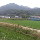 가정1리 이미지