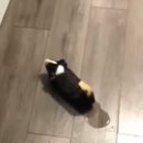 토이월드 이미지